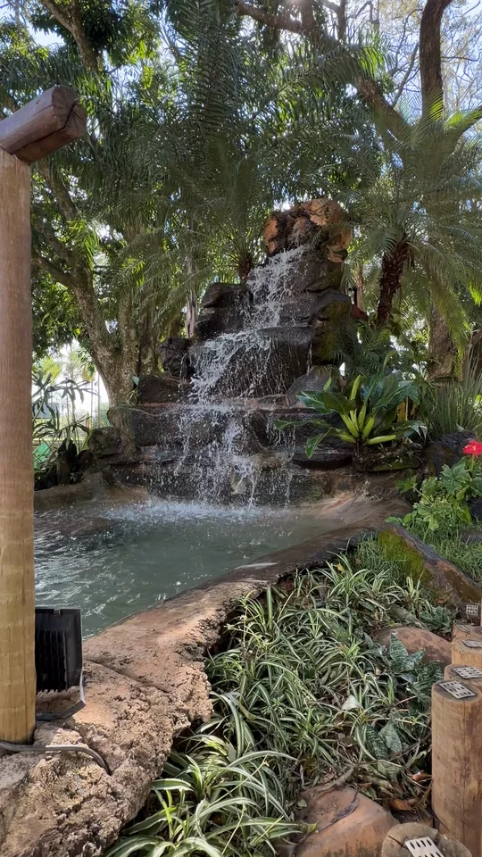 Cascata entre as plantas