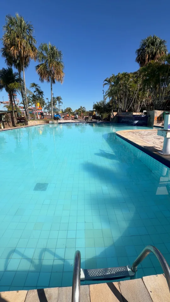 Piscina aquecida com coqueiros ao fundo